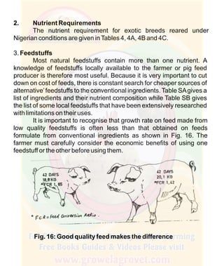How To Do Profitable Pig Farming