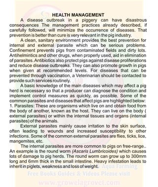 How To Do Profitable Pig Farming