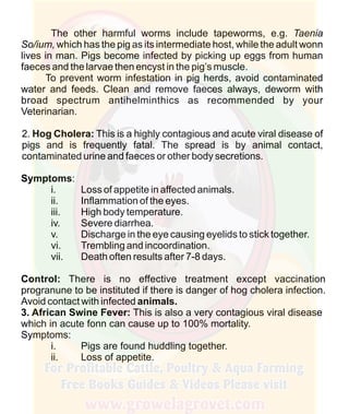 How To Do Profitable Pig Farming