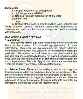 How To Do Profitable Pig Farming