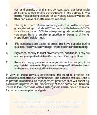 How To Do Profitable Pig Farming