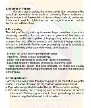 How To Do Profitable Pig Farming