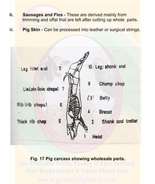 How To Do Profitable Pig Farming