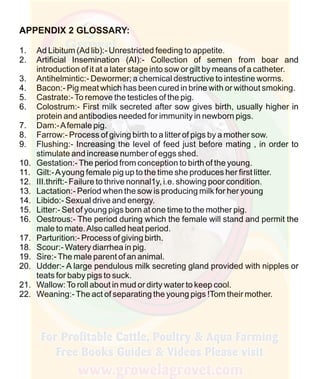 How To Do Profitable Pig Farming