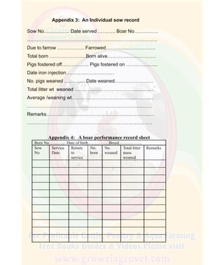 How To Do Profitable Pig Farming