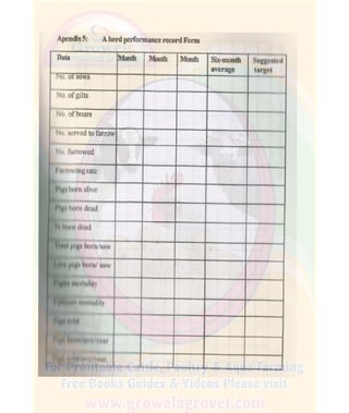How To Do Profitable Pig Farming