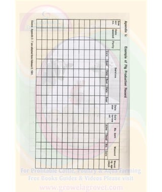How To Do Profitable Pig Farming