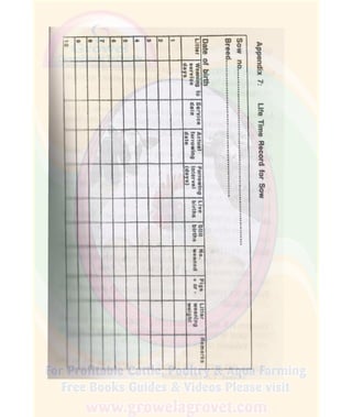 How To Do Profitable Pig Farming