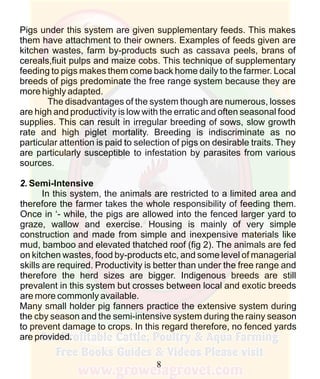 How To Do Profitable Pig Farming