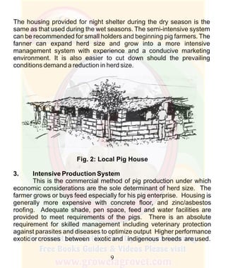 How To Do Profitable Pig Farming