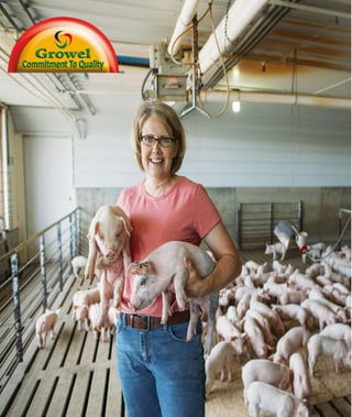 How To Do Profitable
Pig Farming ?
 