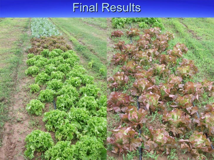 How To Do Truck Patch Farming And Marketing