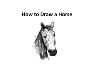 How to Draw a Horse
 