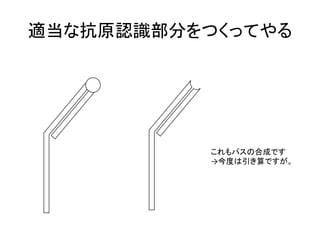 適当な抗原認識部分をつくってやる	
  




             これもパスの合成です	
  
             →今度は引き算ですが。	
  
 