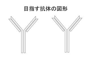 目指す抗体の図形	
  
 
