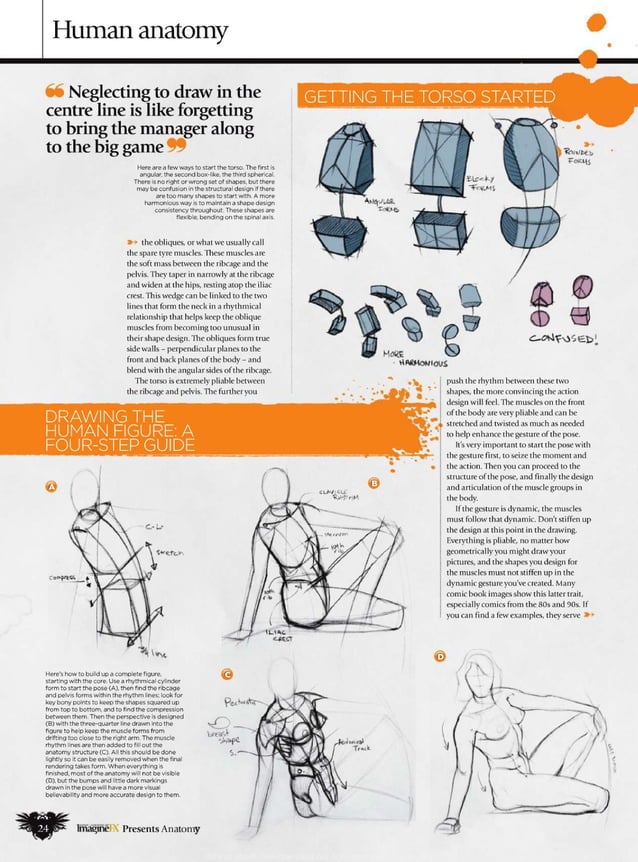 How to draw and paint anatomy PDF