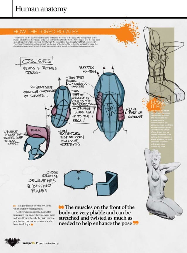 How to draw and paint anatomy