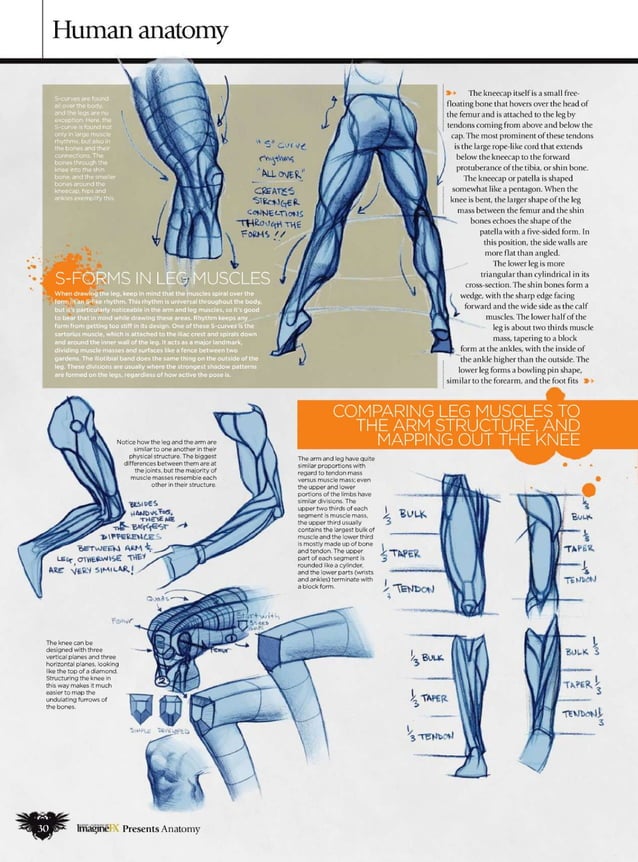 How to draw and paint anatomy PDF