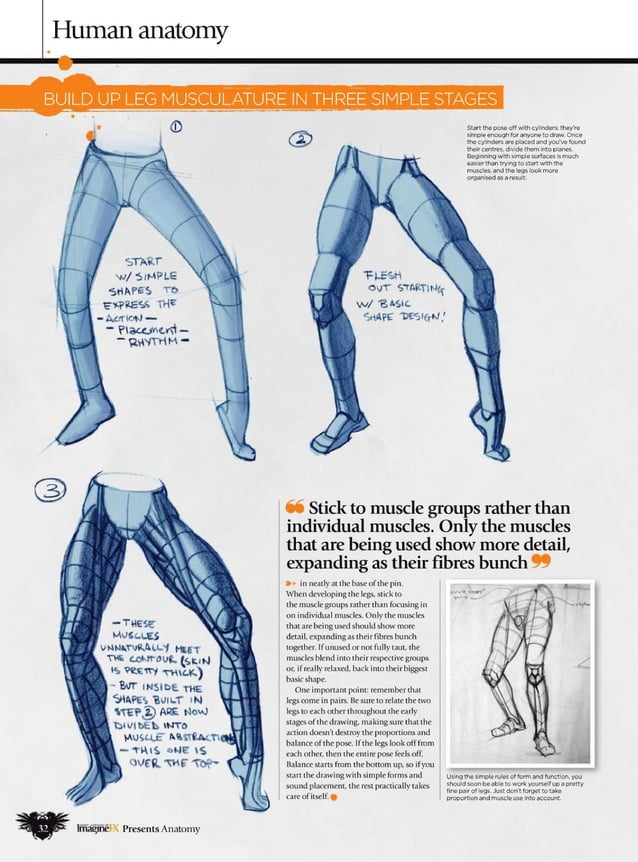 How to draw and paint anatomy PDF