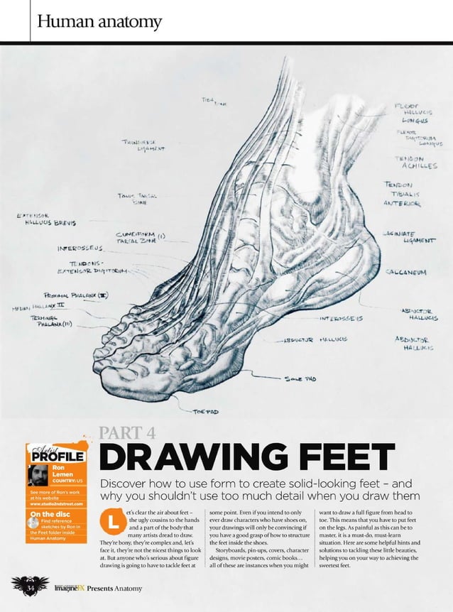 How to draw and paint anatomy