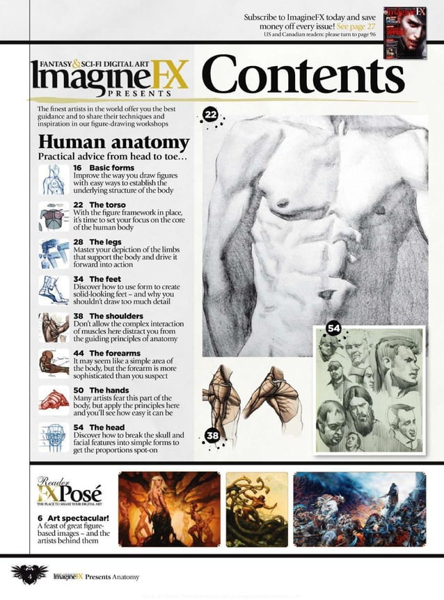 How to draw and paint anatomy