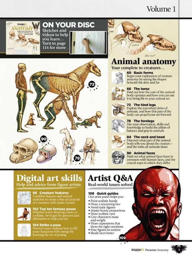 How to draw and paint anatomy PDF
