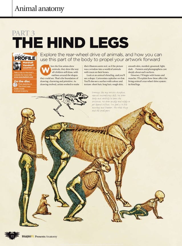 How to draw and paint anatomy PDF