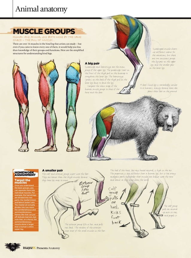 How to draw and paint anatomy PDF