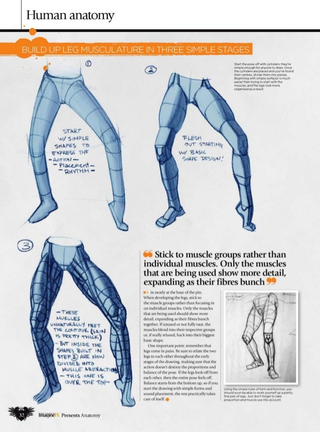 How to draw and paint anatomy