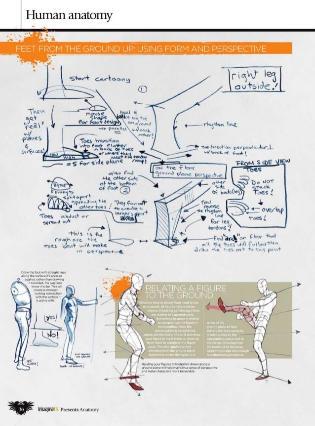 How to draw and paint anatomy