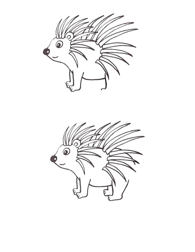 How To Draw Animals In Simple Steps: The Step By Step Guide To 30 ...