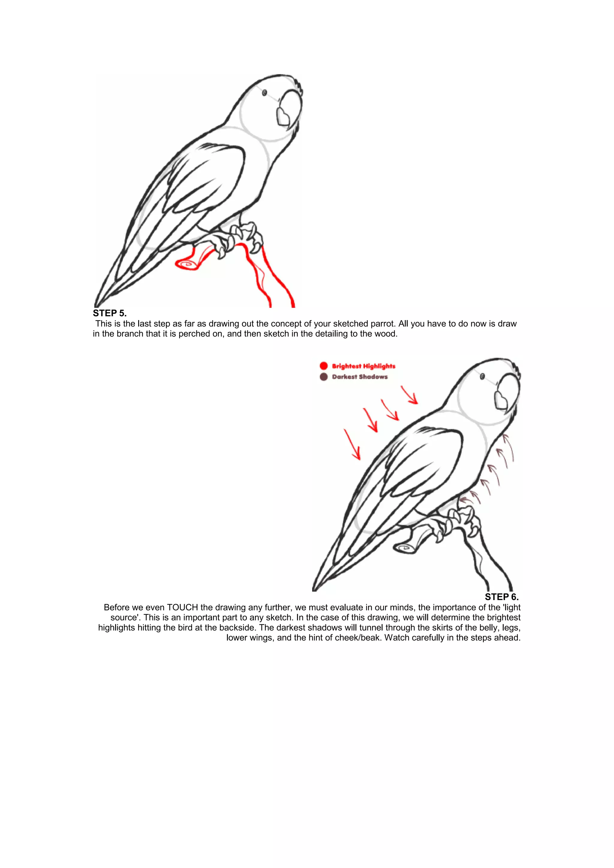 STEP 5.
This is the last step as far as drawing out the concept of your sketched parrot. All you have to do now is draw
in the branch that it is perched on, and then sketch in the detailing to the wood.
STEP 6.
Before we even TOUCH the drawing any further, we must evaluate in our minds, the importance of the 'light
source'. This is an important part to any sketch. In the case of this drawing, we will determine the brightest
highlights hitting the bird at the backside. The darkest shadows will tunnel through the skirts of the belly, legs,
lower wings, and the hint of cheek/beak. Watch carefully in the steps ahead.
 