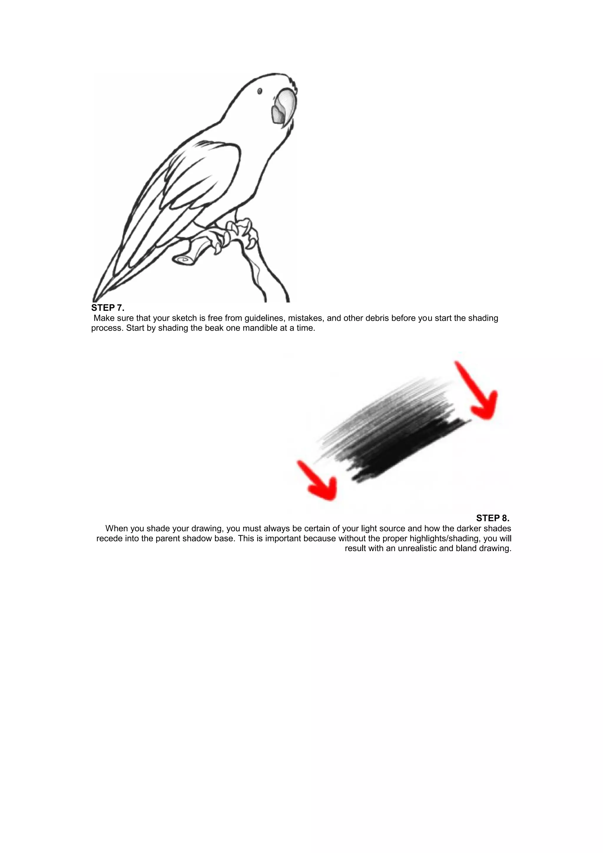 STEP 7.
Make sure that your sketch is free from guidelines, mistakes, and other debris before you start the shading
process. Start by shading the beak one mandible at a time.
STEP 8.
When you shade your drawing, you must always be certain of your light source and how the darker shades
recede into the parent shadow base. This is important because without the proper highlights/shading, you will
result with an unrealistic and bland drawing.
 