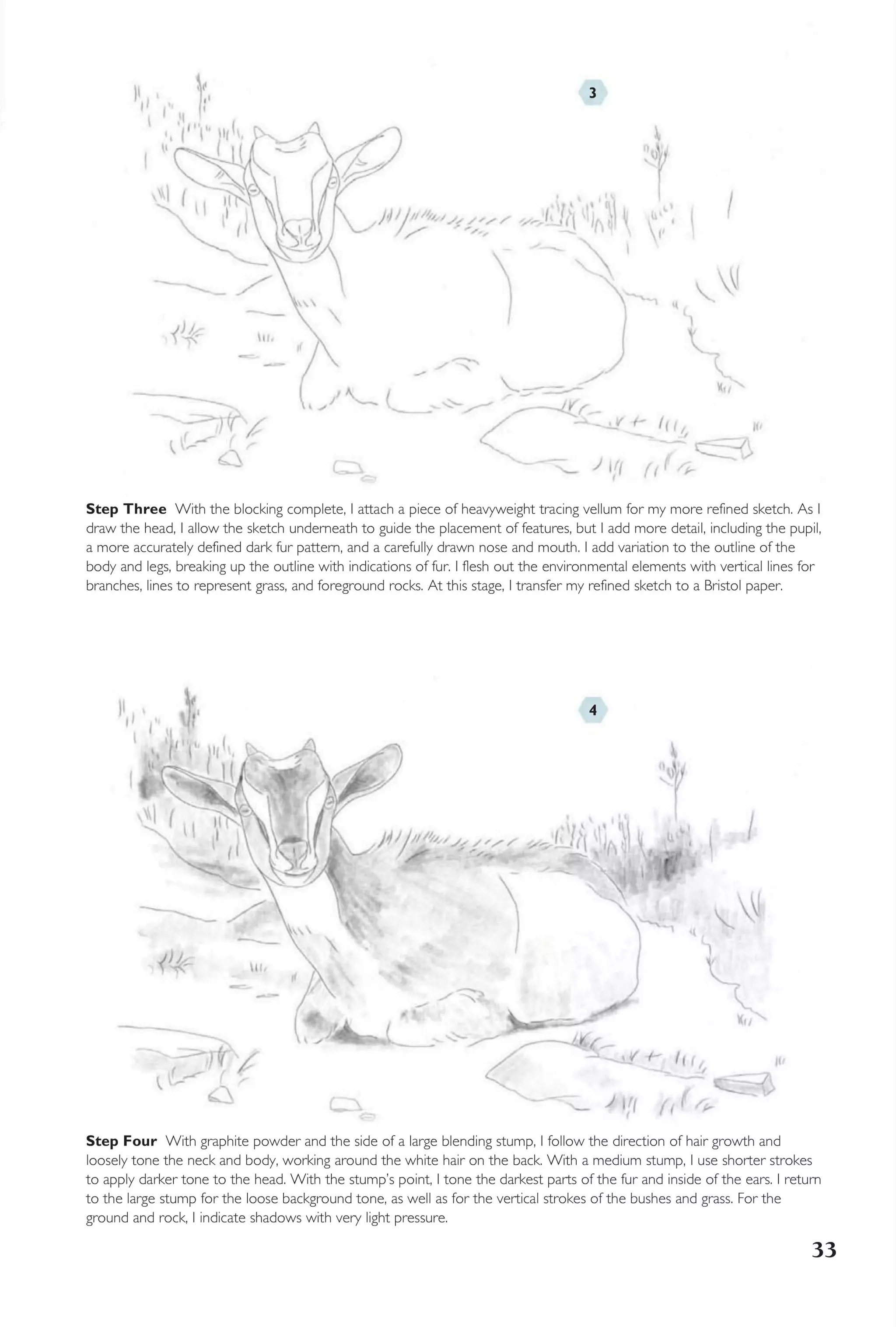 How to draw from photographs | PDF