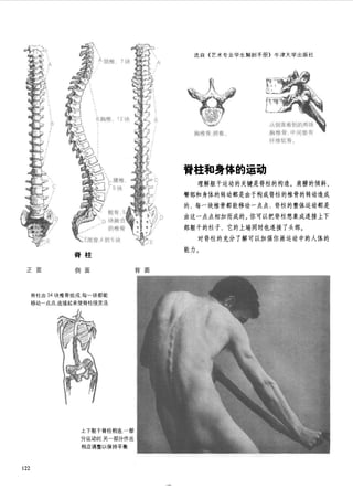 How to draw human figure