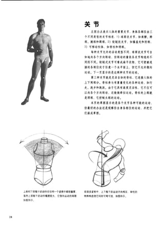 How to draw human figure