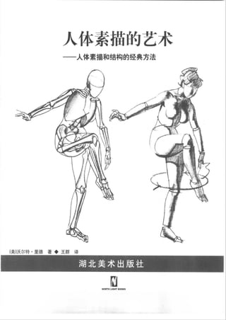 How to draw human figure