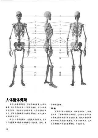 How to draw human figure