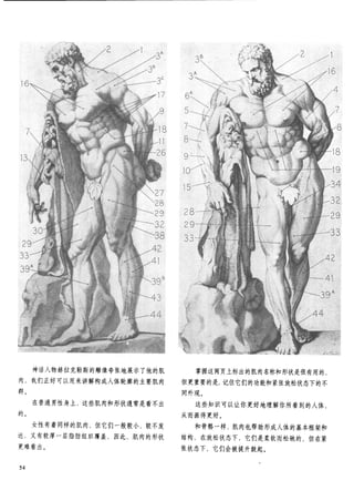 How to draw human figure