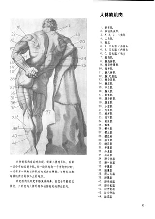 How to draw human figure