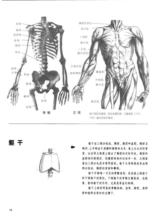 How to draw human figure