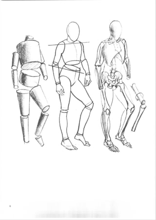How to draw human figure
