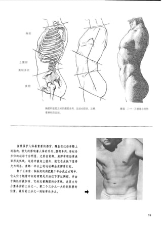 How to draw human figure