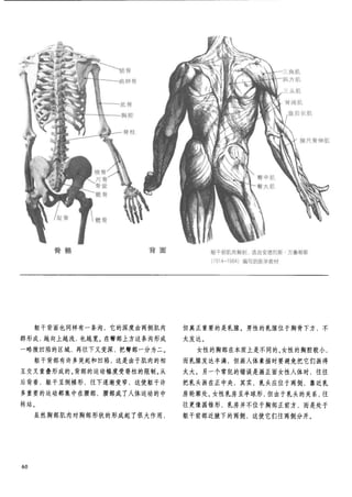 How to draw human figure