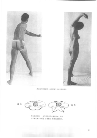 How to draw human figure