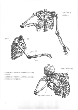 How to draw human figure