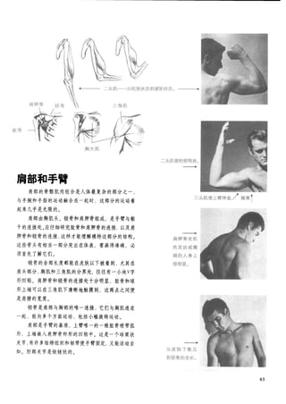 How to draw human figure