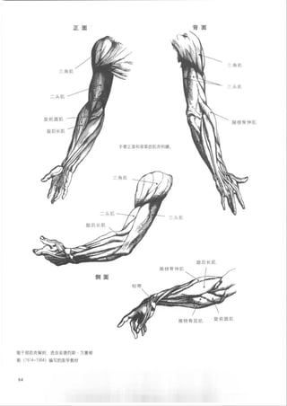 How to draw human figure