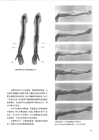 How to draw human figure