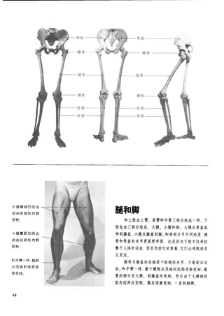 How to draw human figure